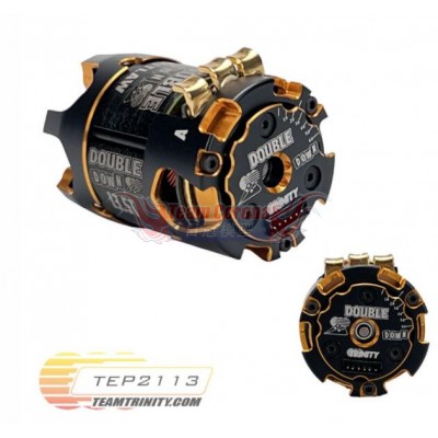 Trinity Double Down 13.5T Outlaw Brushless motor #TEP2113